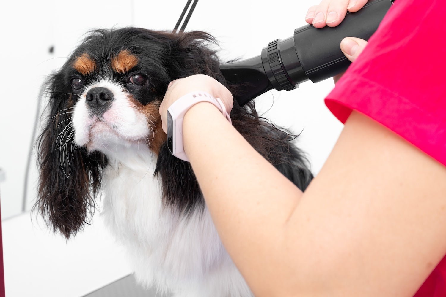 K9 Dryer muffler